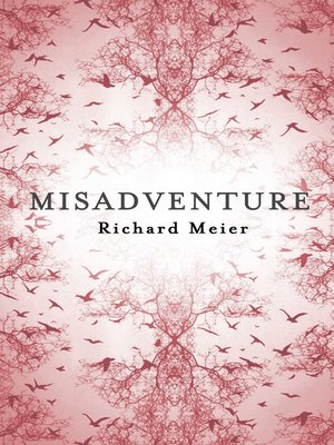 cover image of Misadventure